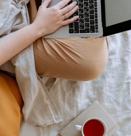 Renting Mobile Proxies with Own Hardware