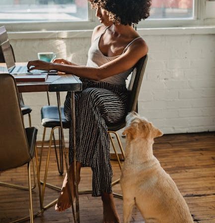 The Role of Trial Mobile Proxy in Ad Verification and Campaign Optimization