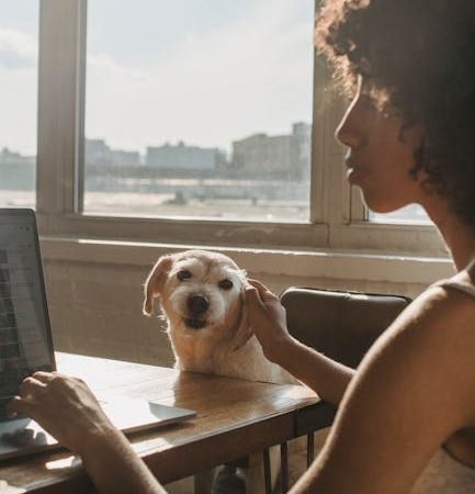 Signing up for Dedicated Mobile Proxy Service with Real IP Rotation