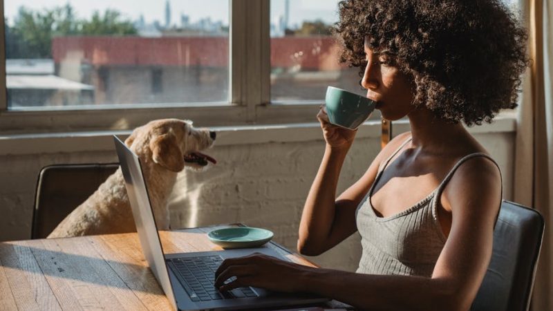 Private Mobile Proxy IP Rotation for LinkedIn Automation and Data Extraction