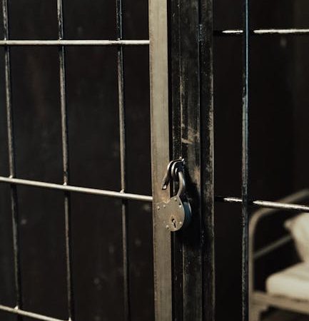 Benefits and Features of Fast Private Mobile Proxies