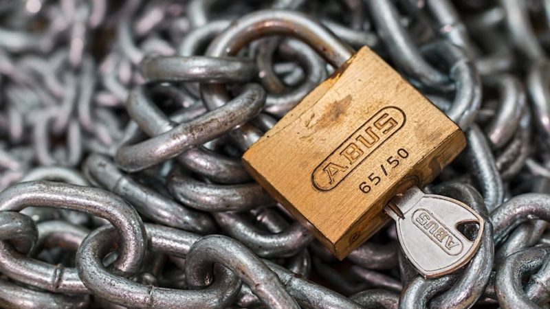 Unlimited Mobile Proxy Service for Secure Online Interactions