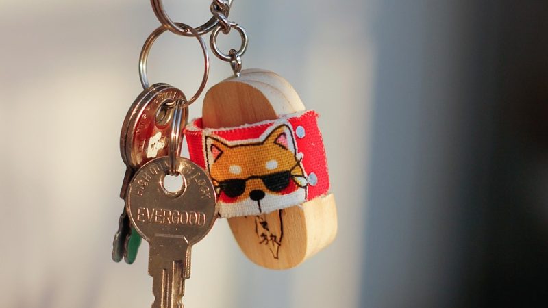 Installing Private Mobile Proxy HTTP Proxy for Online Activities