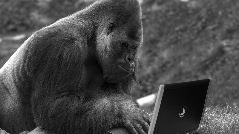 Mobile Proxy Sticky Sessions Benefits and Features