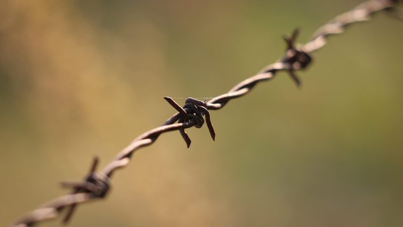 Benefits of Using 4G Proxy API and Mobile Proxy API for Businesses