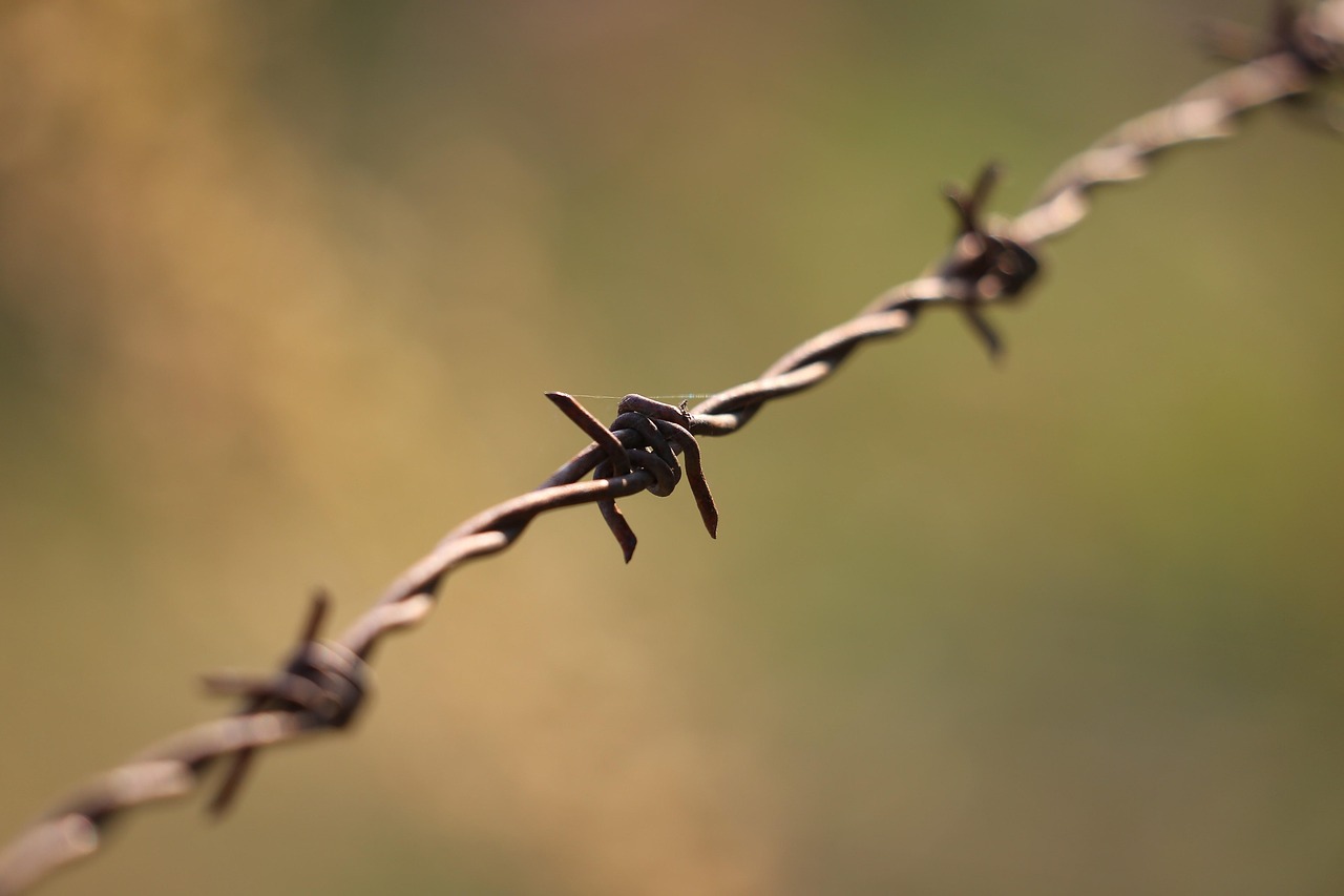 Benefits of Using 4G Proxy API and Mobile Proxy API for Businesses