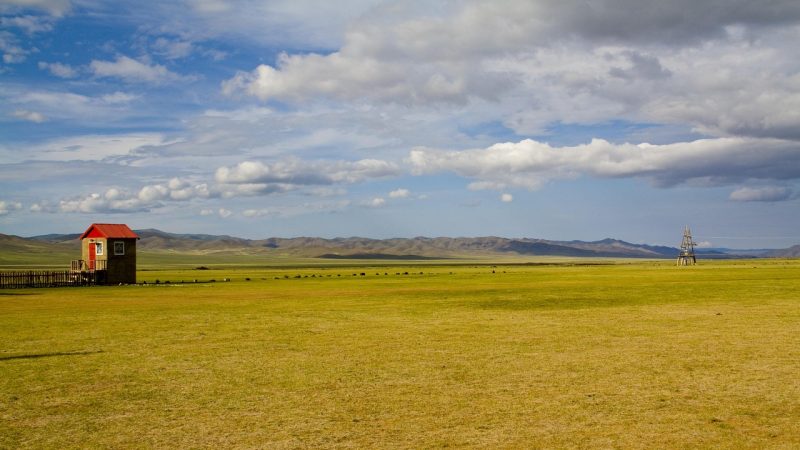 Dedicated Mobile Proxies for Scraping