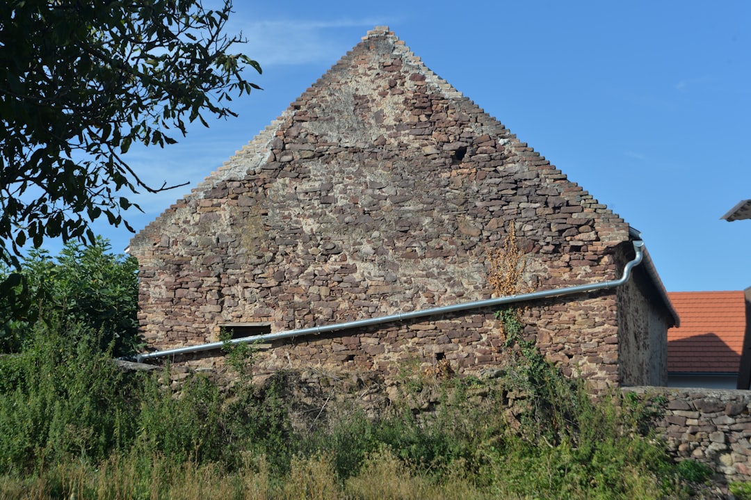 Benefits of Using Paid Mobile Proxy in UK for Business and Personal Projects